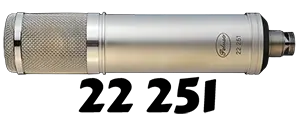 22 251 Icon