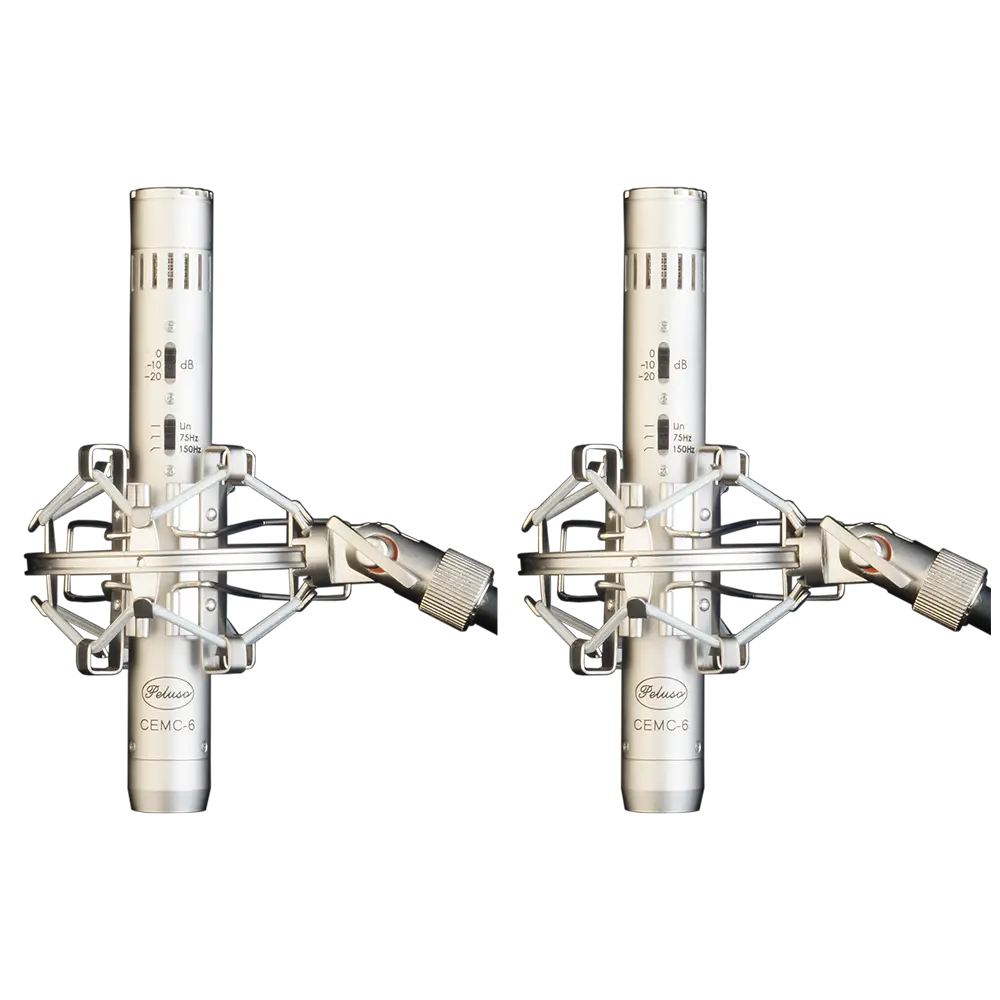 CEMC-6 Shock Mount