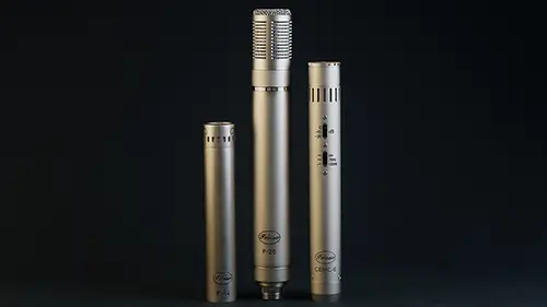Peluso Mic Group SDC