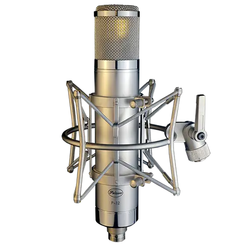 P-12 Shock Mounted