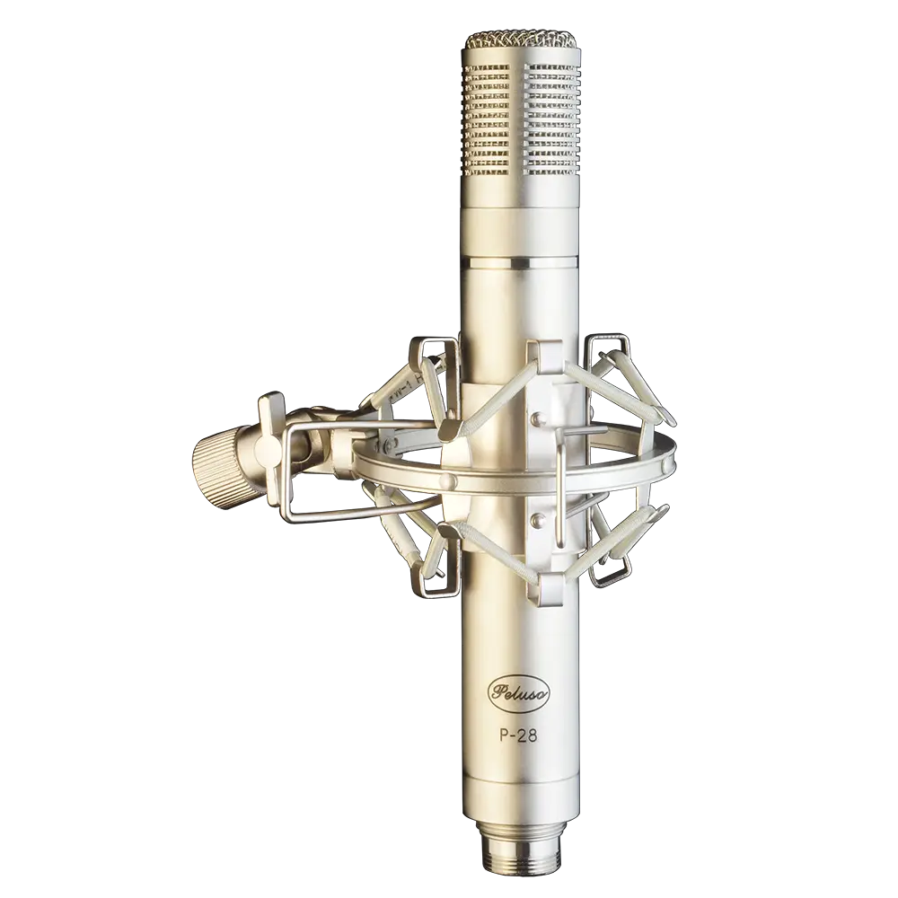 P-28 Shock Mounted