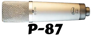 P-87 Icon