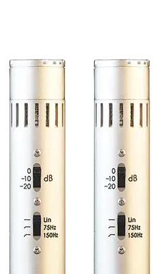 CEMC-6 SK